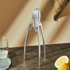 Picture of Alessi, Juicy Salif, lemon squeezer, Philippe Starck, 1990