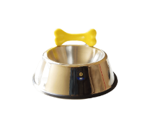 Picture of SKS Design, Doggy's Dinner dog bowl, steel and yellow resin, Abels